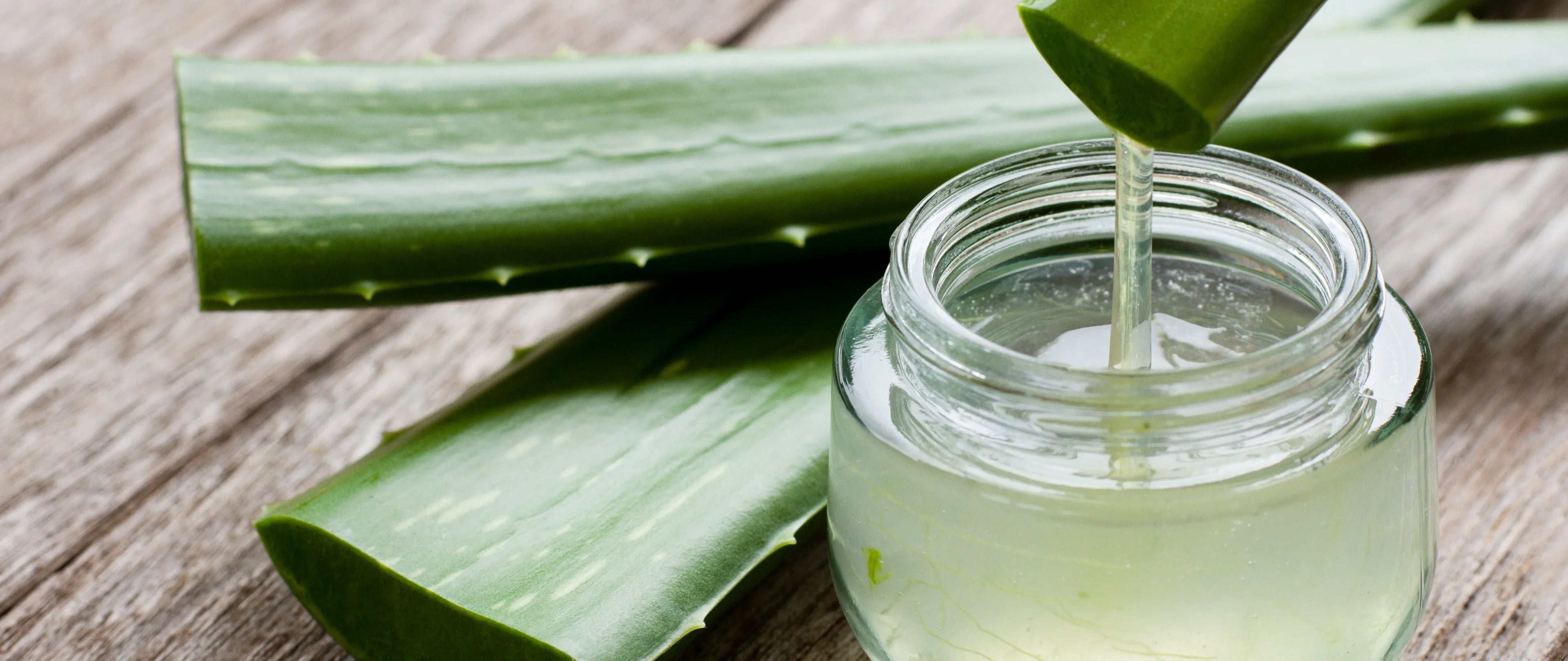 Aloe Vera’nın Gücü: Temiz Bakımda Neden Bu Kadar Önemli?