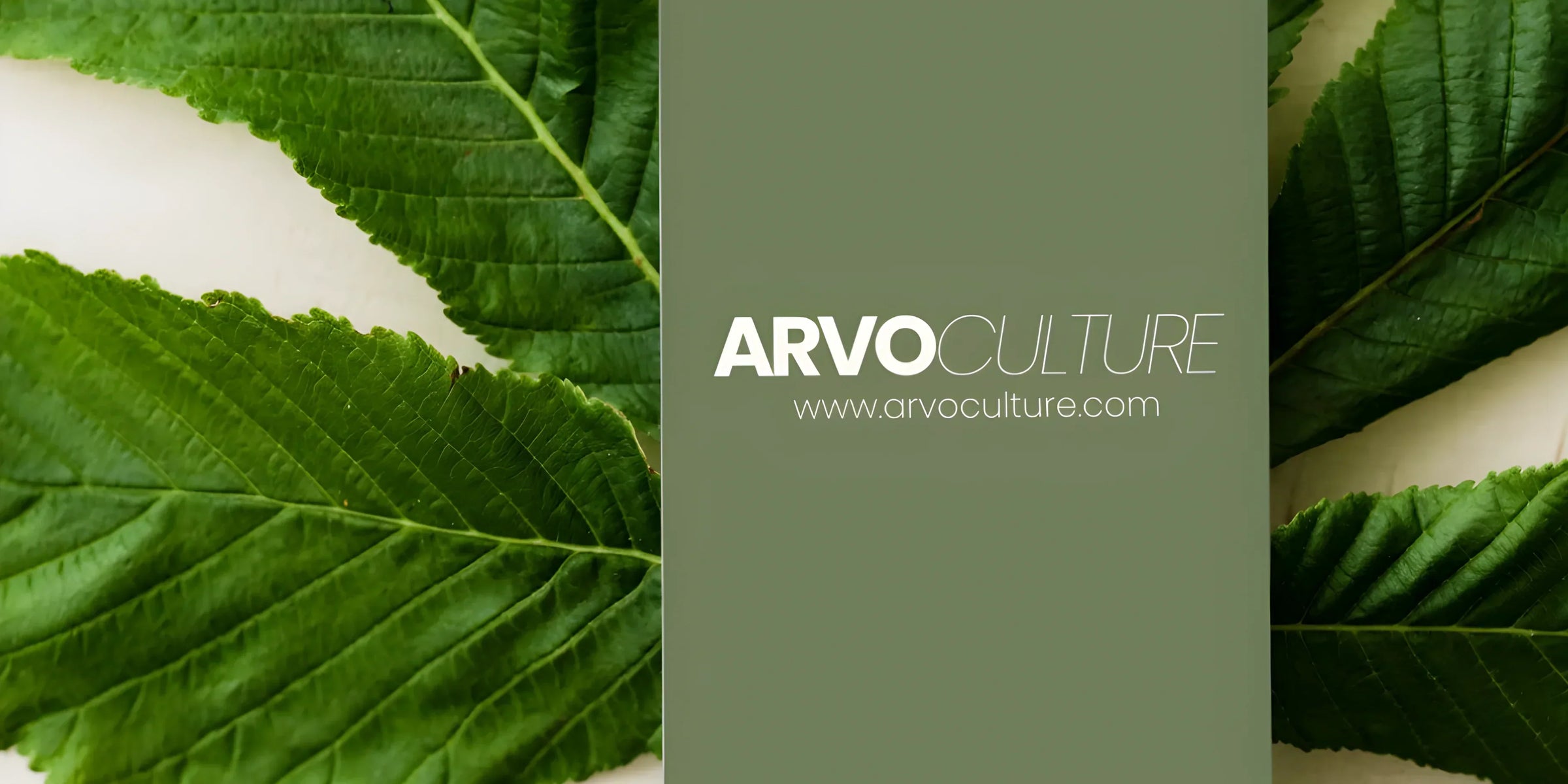 ArvoCulture Nedir? Temiz İçerik ve Bilinçli Bakım Anlayışımız