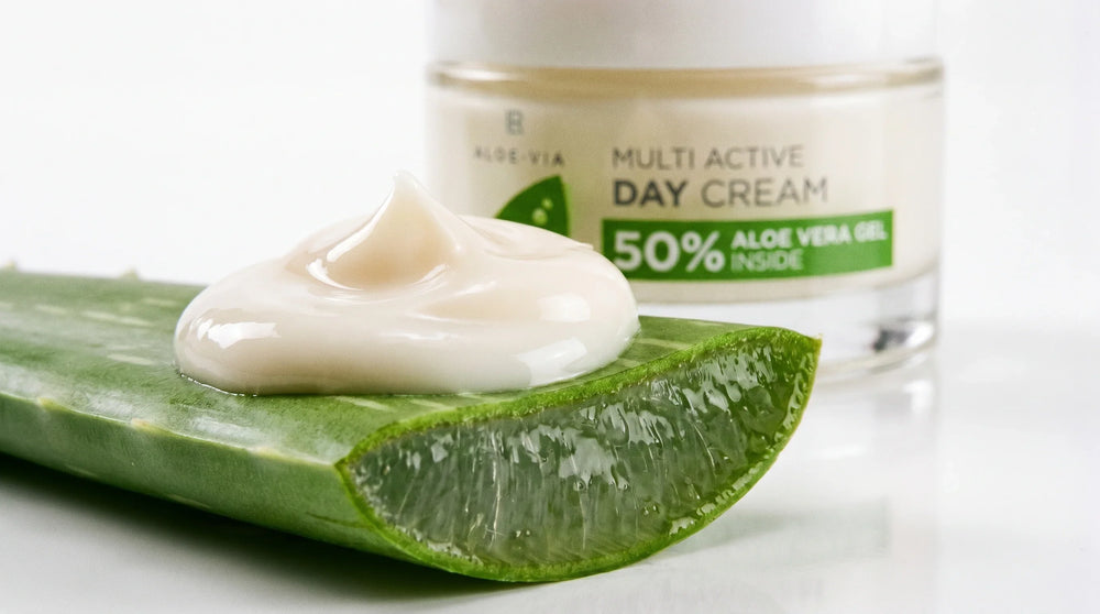 Aloe Vera Nedir? Cilt İçin Faydaları ve Bakımdaki Önemi