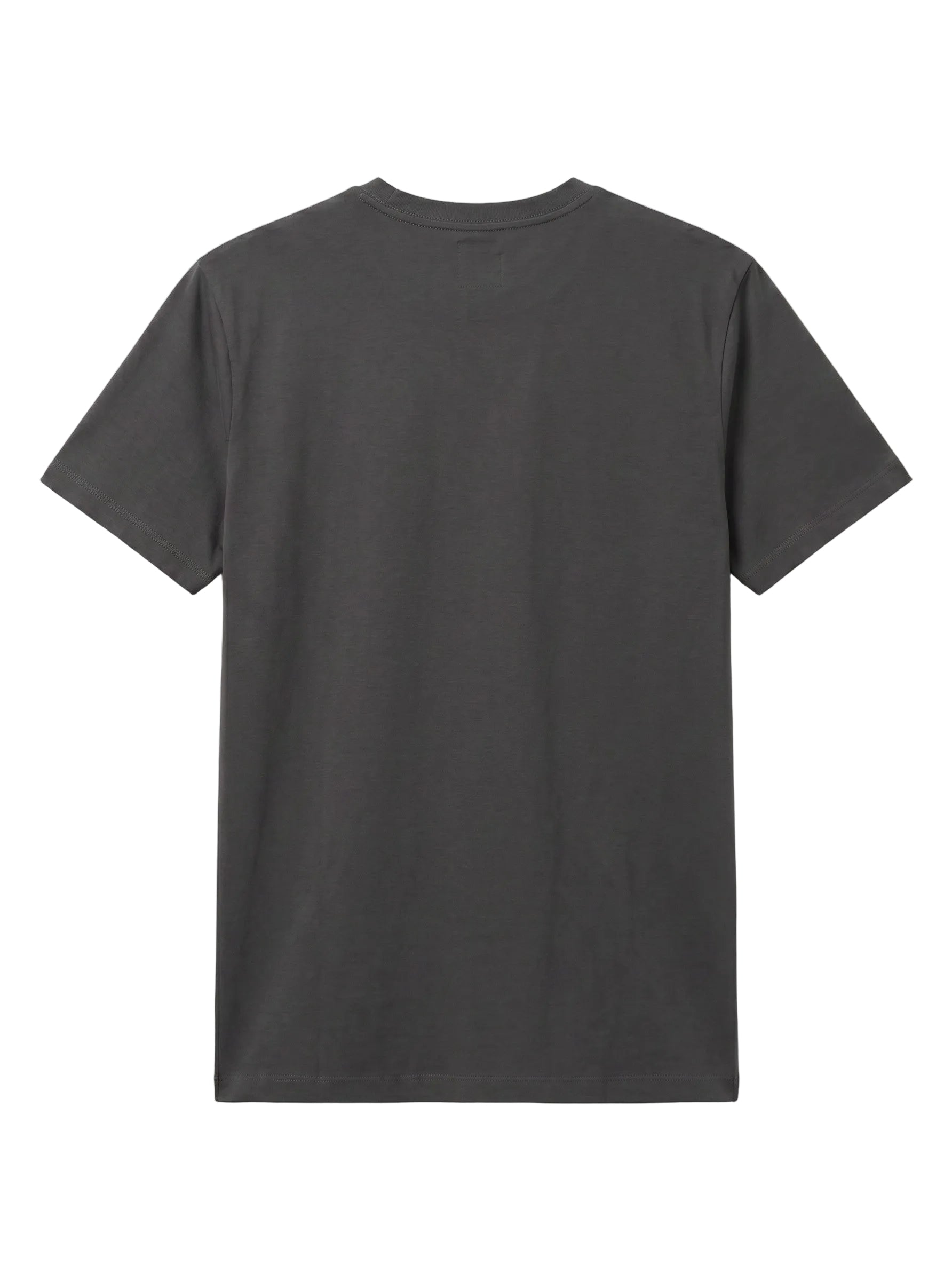 Basic Regular Fit Füme Tişört